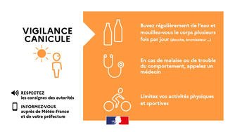 INSCRIPTION PLAN CANICULE